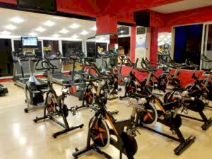 081f8d54-9c5a-4e9f-894f-84e204b7bfcf